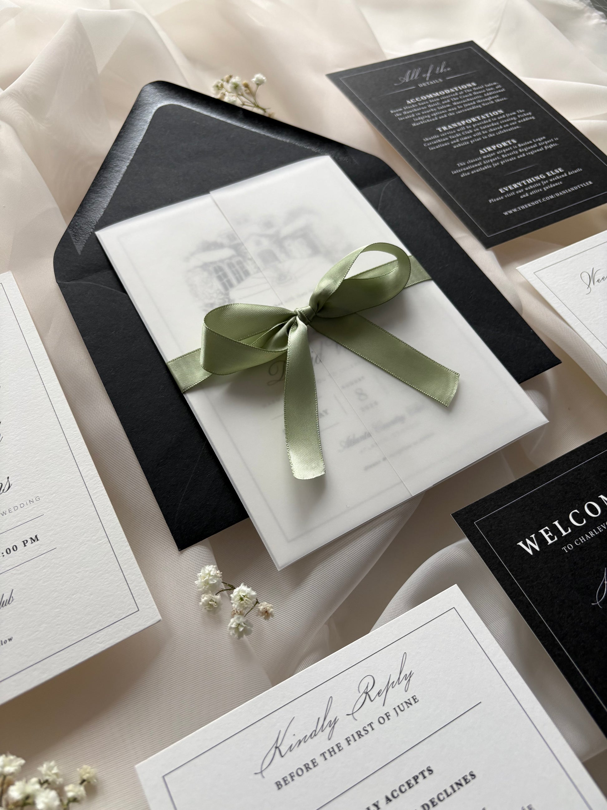 Black White and Willow Storybook